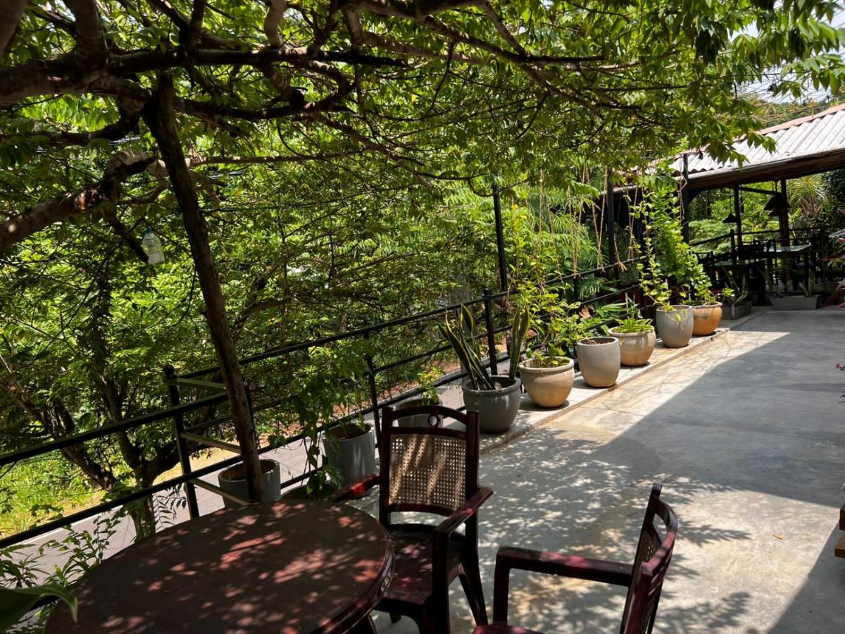 The Traveller'S Hostel & Private Rooms Sigiriya Exterior photo
