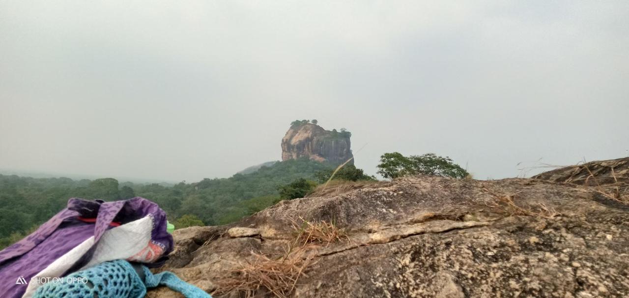 The Traveller'S Hostel & Private Rooms Sigiriya Exterior photo